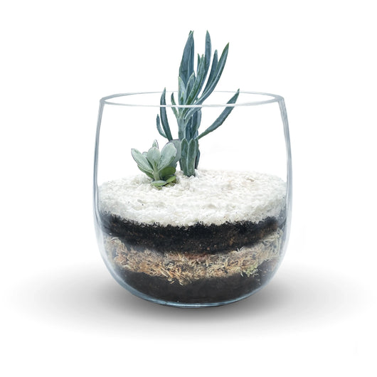 product image without succulent